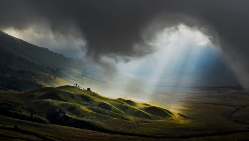Illustration for article titled The best world photos of 2013